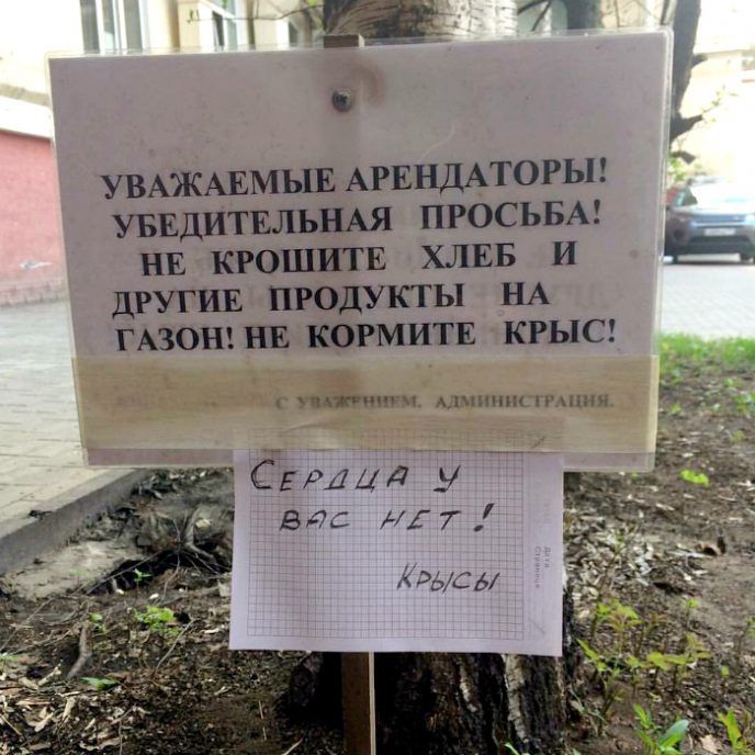13 глупых вывесок, от которых вы взорветесь смехом - 347093 13 глупых вывесок, от которых вы взорветесь смехом - фото 347093