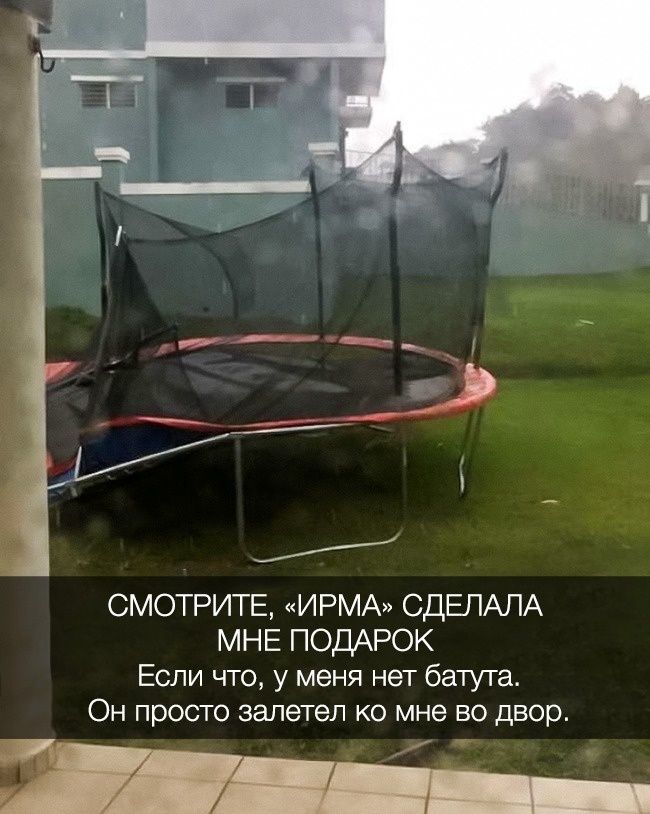 17 нелепых подарков, которые могли сделать только родные - 345229 17 нелепых подарков, которые могли сделать только родные - фото 345229