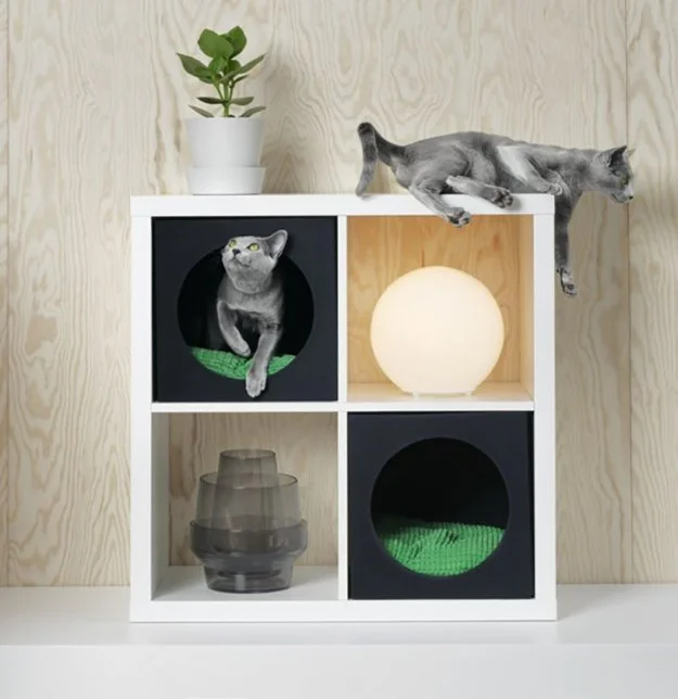 Пушистый уют: IKEA выпустила Эксклюзивную линию мебели для животных - фото 344560