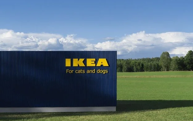 Пухнастий затишок: IKEA випустила ексклюзивну лінію меблів для тварин - фото 344565