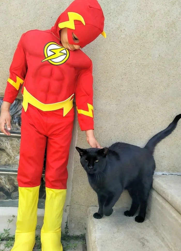 Храброе сердце: 5-летний мальчик в костюмах супергероев спасает уличных котов - фото 346819