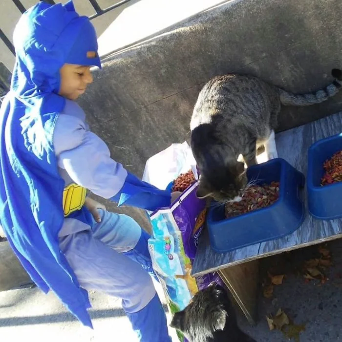 Храброе сердце: 5-летний мальчик в костюмах супергероев спасает уличных котов - фото 346824