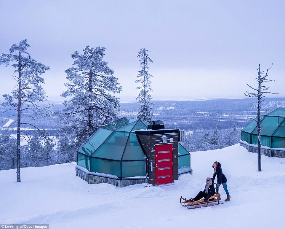 Удивительный отель в Финляндии предлагает гостям услугу, которой нигде не найти - фото 346484