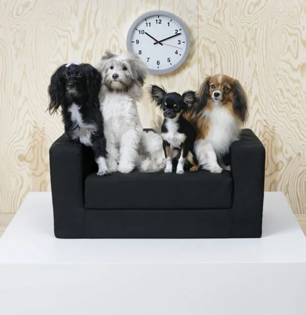 Пушистый уют: IKEA выпустила Эксклюзивную линию мебели для животных - фото 344558
