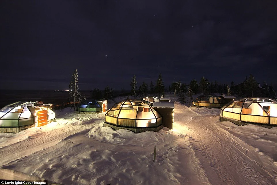Удивительный отель в Финляндии предлагает гостям услугу, которой нигде не найти - фото 346483