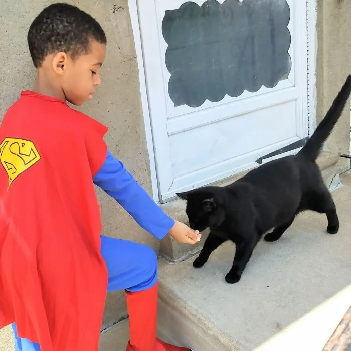 Храброе сердце: 5-летний мальчик в костюмах супергероев спасает уличных котов - фото 346821