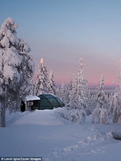 Удивительный отель в Финляндии предлагает гостям услугу, которой нигде не найти - фото 346480