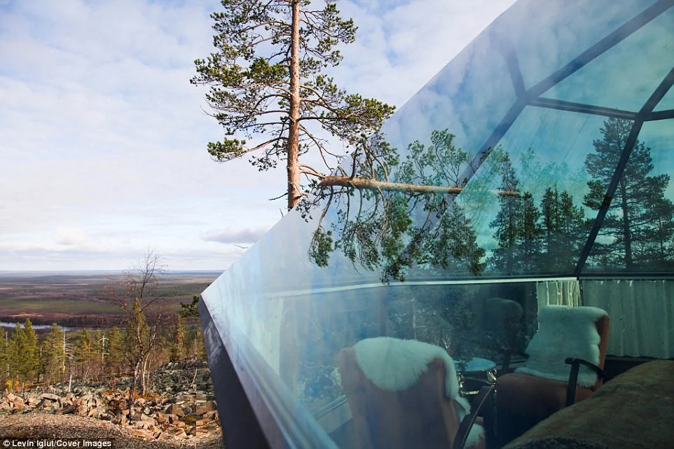 Удивительный отель в Финляндии предлагает гостям услугу, которой нигде не найти - фото 346485