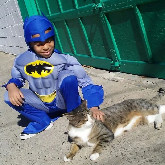 Храброе сердце: 5-летний мальчик в костюмах супергероев спасает уличных котов - фото 346822