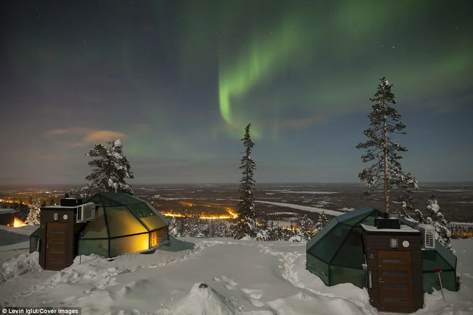 Удивительный отель в Финляндии предлагает гостям услугу, которой нигде не найти - фото 346482