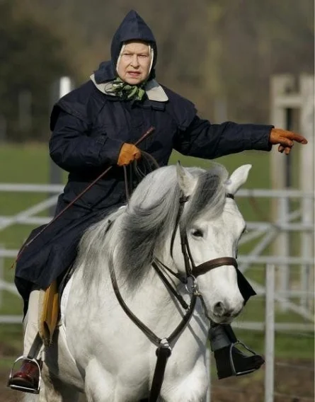 На коне: 91-летняя королева Елизавета II проехалась верхом - фото 352387