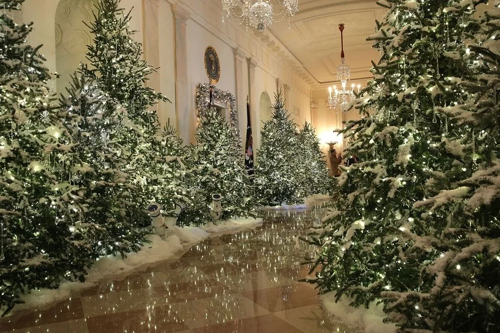 Праздник приближается: Белый дом украсили к Рождеству и он просто невероятный - фото 353735