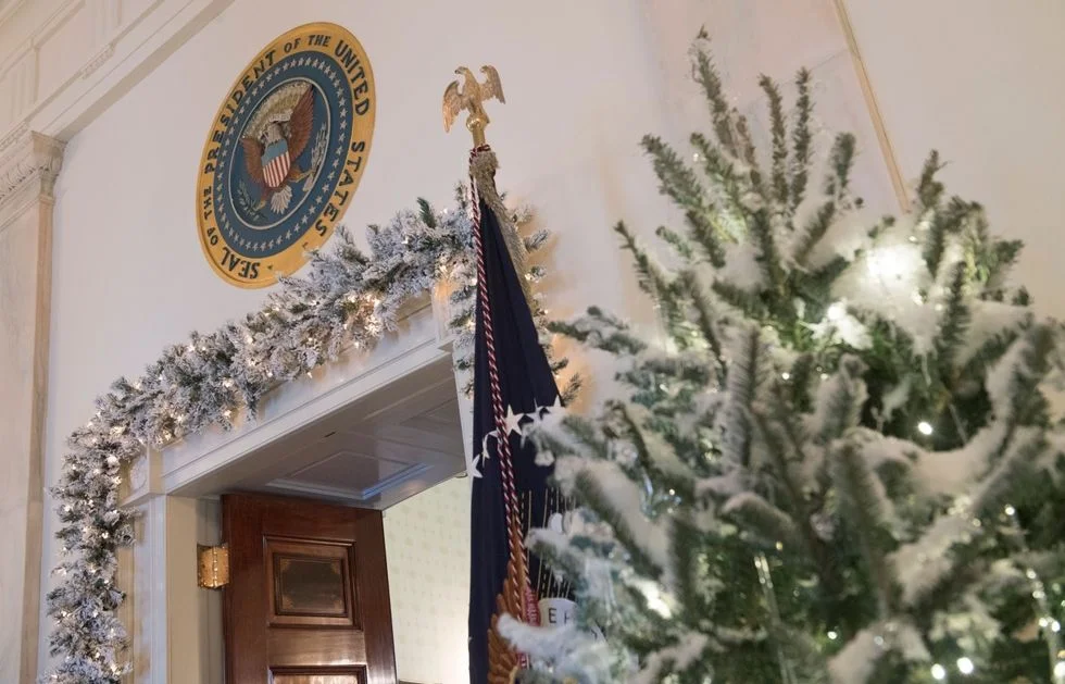 Праздник приближается: Белый дом украсили к Рождеству и он просто невероятный - фото 353729