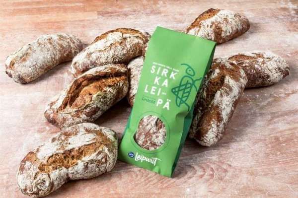 Хрустящий вкус: в Финляндии продают хлеб с сверчков - фото 353358