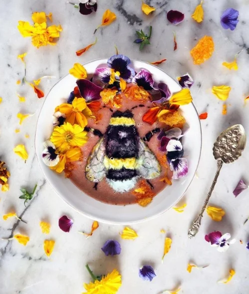 Небачена краса: художниця із Нової Зеландії малює картини зі смузі на сніданок - фото 352890