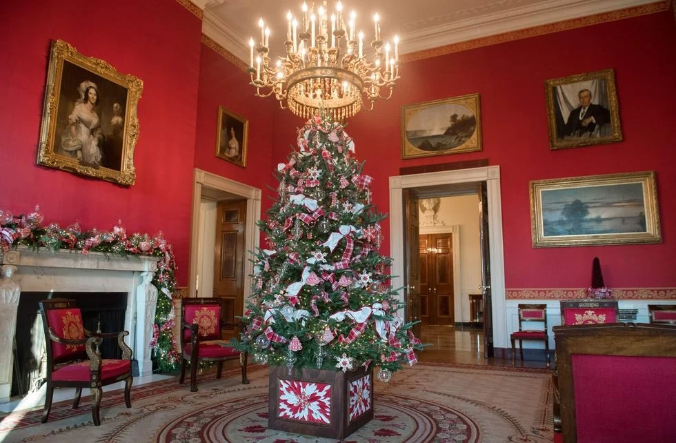 Праздник приближается: Белый дом украсили к Рождеству и он просто невероятный - фото 353736