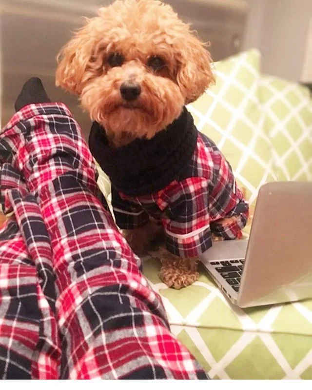 Одинаковые пижамы - именно то, что нужно тебе и твоей собаке - фото 351105