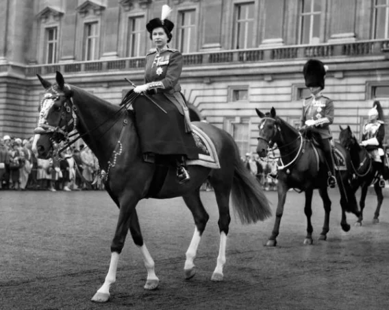 На коні: 91-річна королева Єлизавета II проїхалася верхи - фото 352378