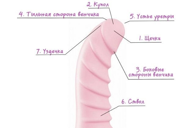 Өте ыстық сәбилермен HD порно қараңыз