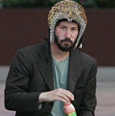 Леопард просто засумував та обняв дерево, а його фото взяли і відфотошопили - 348803 Леопард просто засумував та обняв дерево, а його фото взяли і відфотошопили - фото 348803