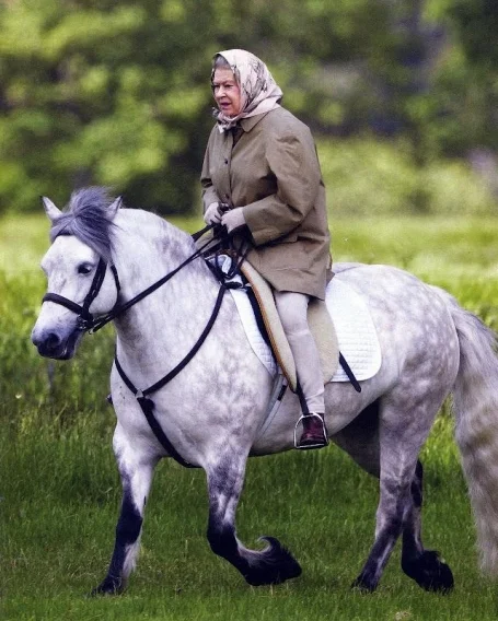 На коні: 91-річна королева Єлизавета II проїхалася верхи - фото 352381