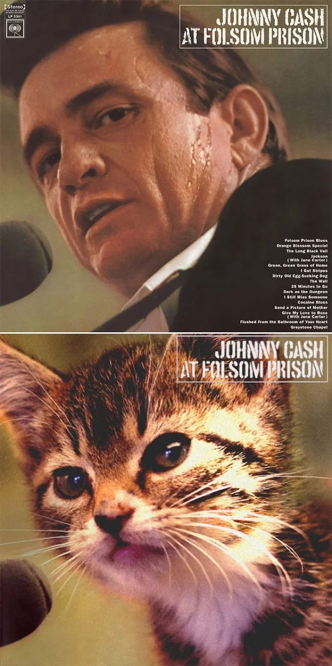 Художник рисует на обложках знаменитых альбомов котиков и это очень мурмур - фото 356248