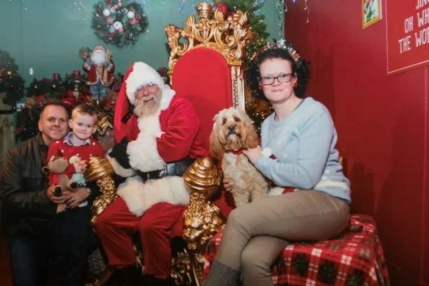 Завидуйте молча: собака получила на Рождество 68 подарков на 1500 долларов - фото 360524