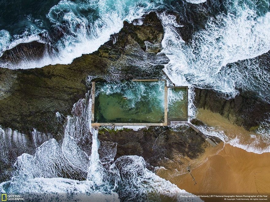Мурашки по шкірі: National Geographic визначив найкращих фотографів природи 2017 - фото 357710