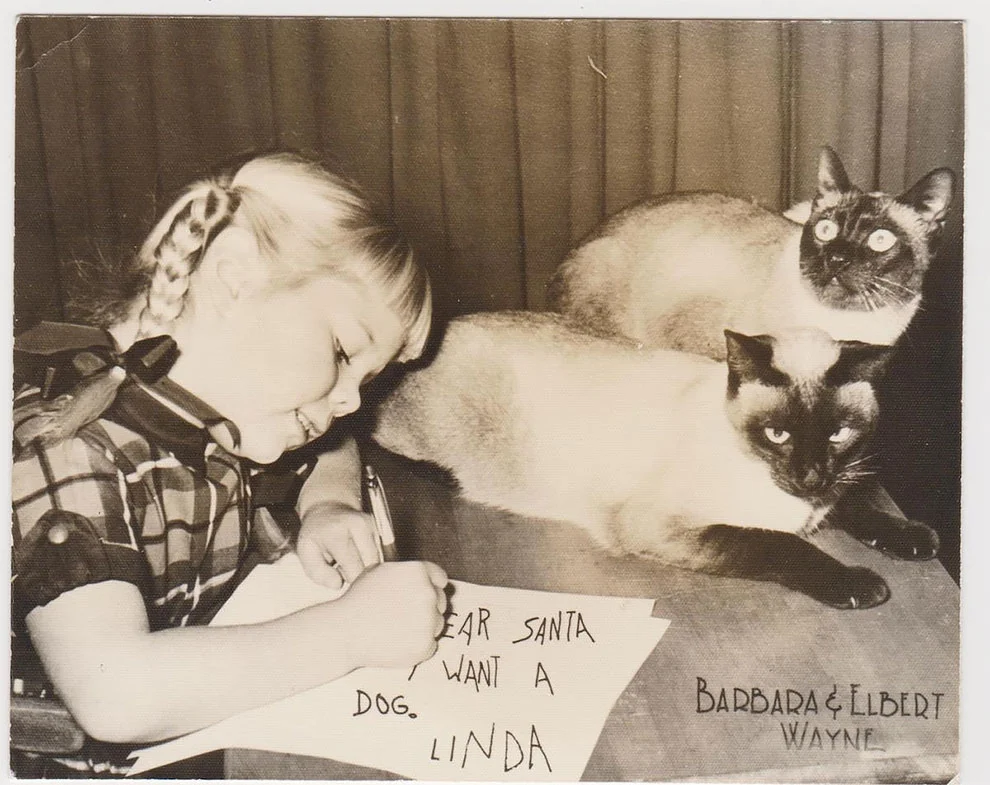 Эти рождественские ретро-открытки с домашними животными рассмешат вас до слез - фото 358654