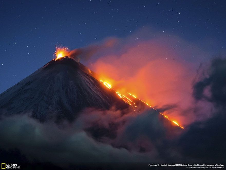 Мурашки по шкірі: National Geographic визначив найкращих фотографів природи 2017 - фото 357644