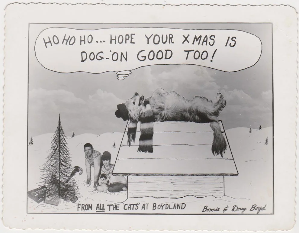 Эти рождественские ретро-открытки с домашними животными рассмешат вас до слез - фото 358646