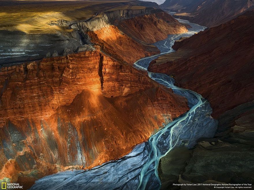 Мурашки по шкірі: National Geographic визначив найкращих фотографів природи 2017 - фото 357695