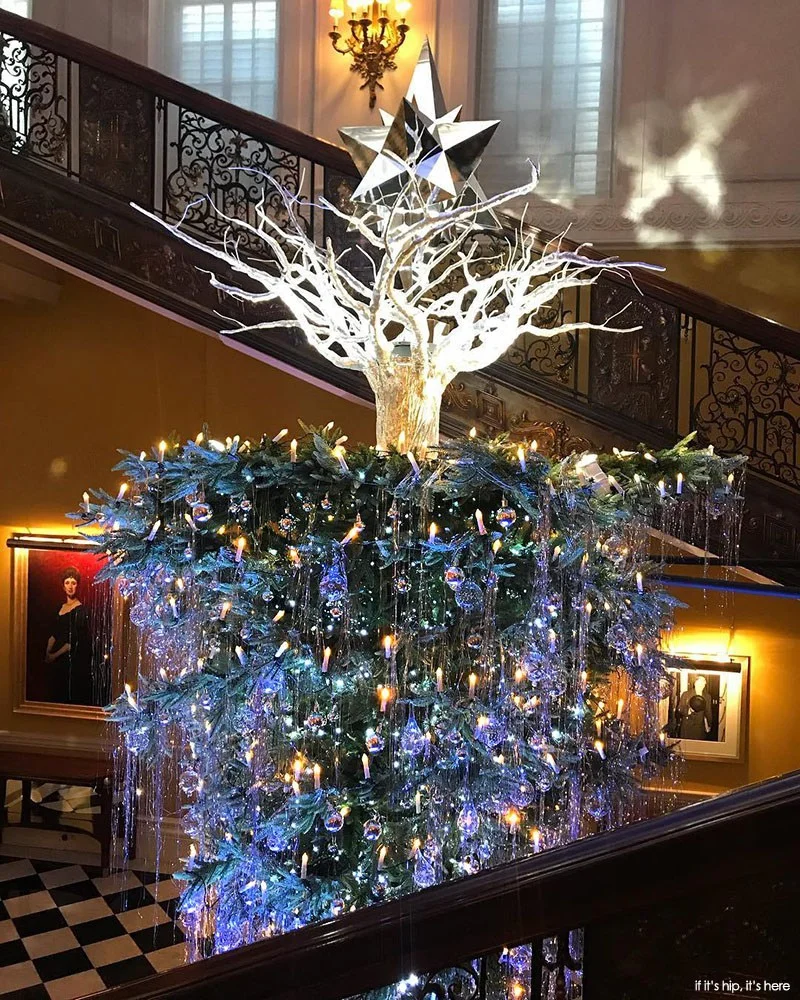 Ця ялинка стала найкрасивішим різдвяним деревом року - фото 358688