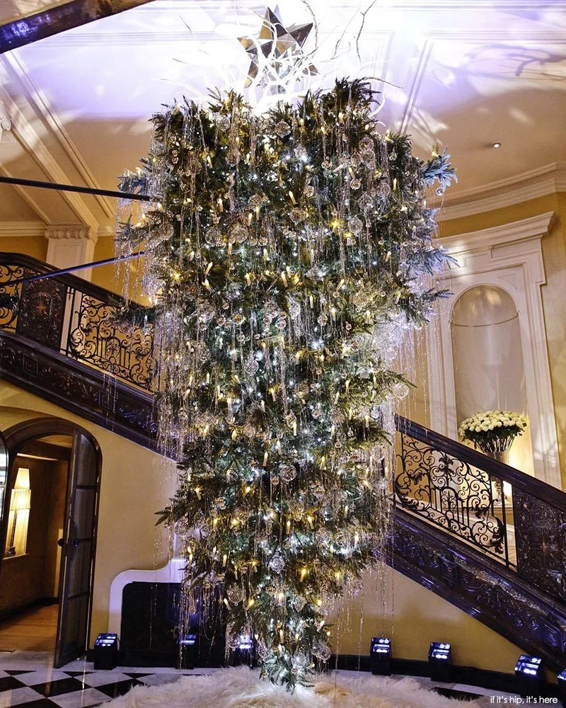 Ця ялинка стала найкрасивішим різдвяним деревом року - фото 358689
