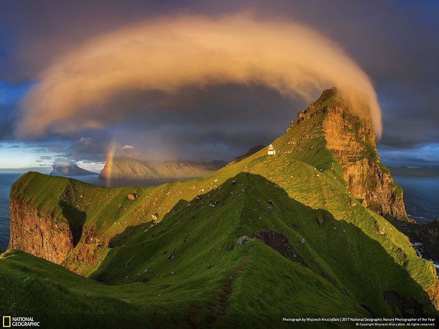 Мурашки по шкірі: National Geographic визначив найкращих фотографів природи 2017 - фото 357671
