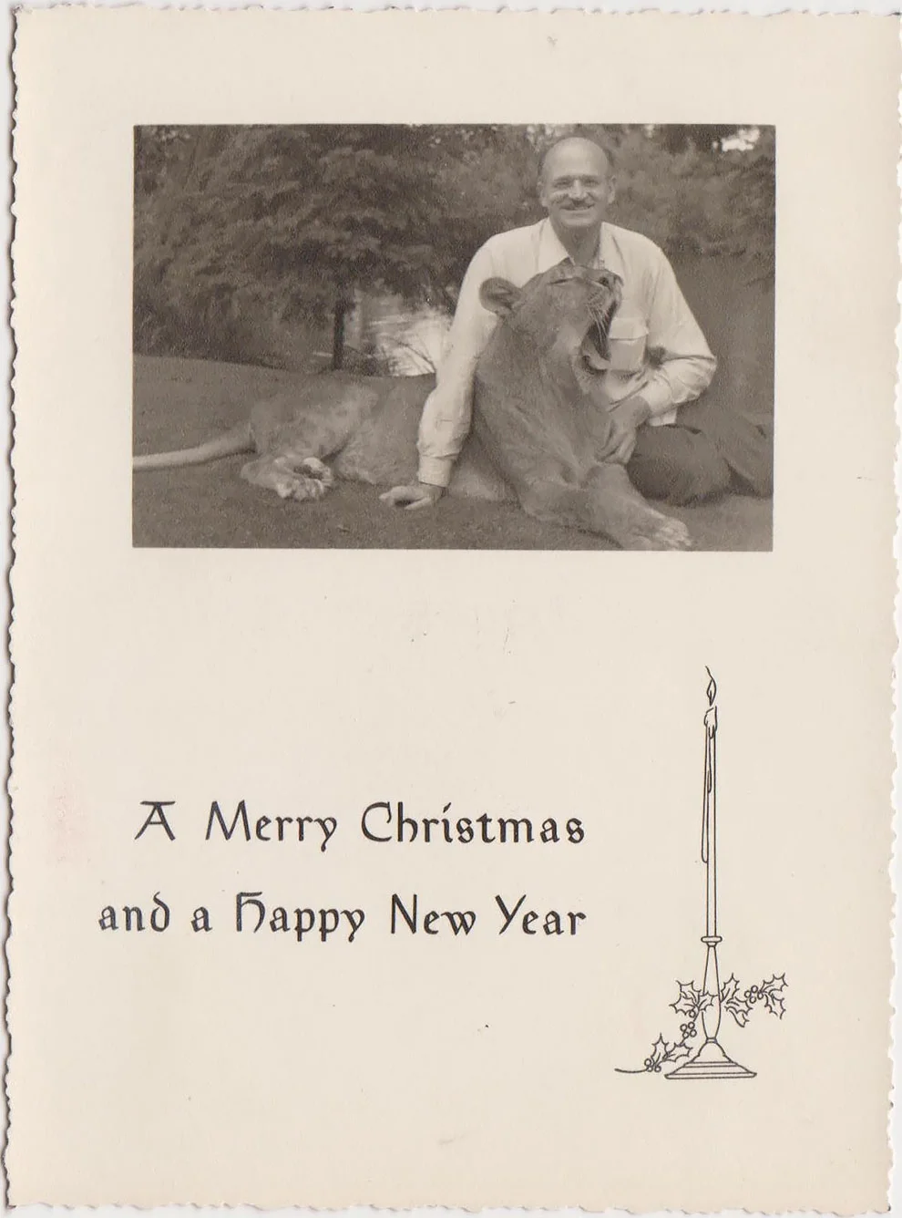 Эти рождественские ретро-открытки с домашними животными рассмешат вас до слез - фото 358652