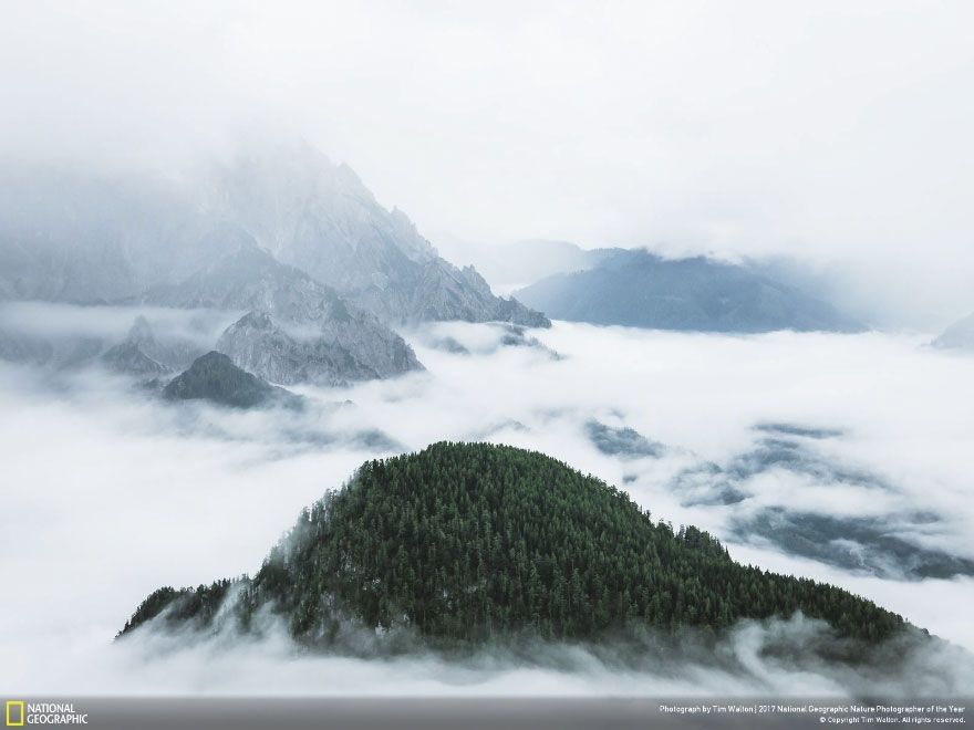 Мурашки по шкірі: National Geographic визначив найкращих фотографів природи 2017 - фото 357661