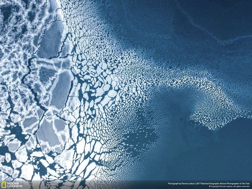 Мурашки по шкірі: National Geographic визначив найкращих фотографів природи 2017 - фото 357708