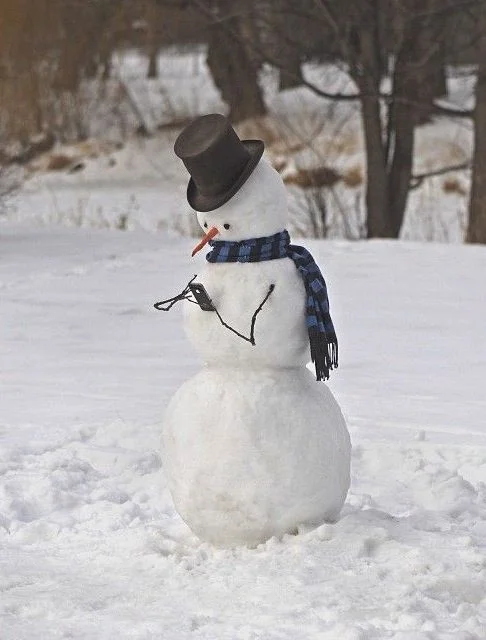 Згадати дитинство: прикольні сніговики, які вам точно захочеться зліпити - фото 356604