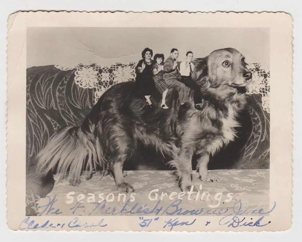 Эти рождественские ретро-открытки с домашними животными рассмешат вас до слез - фото 358643