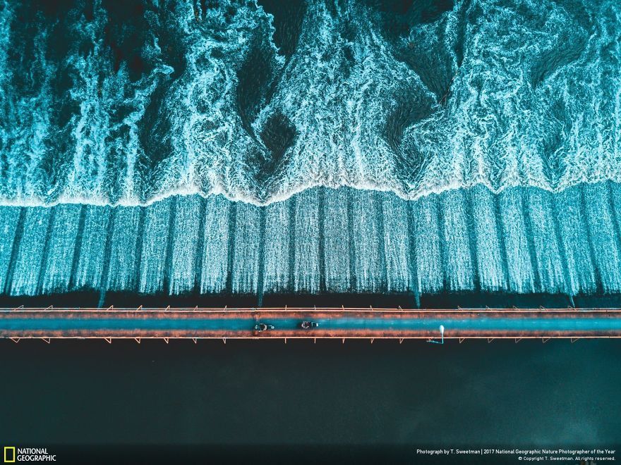Мурашки по шкірі: National Geographic визначив найкращих фотографів природи 2017 - фото 357704