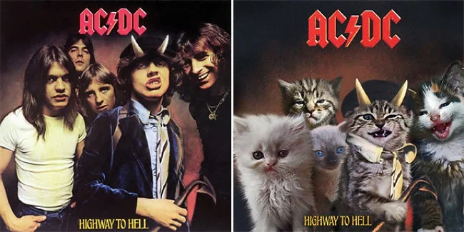 Художник рисует на обложках знаменитых альбомов котиков и это очень мурмур - фото 356228