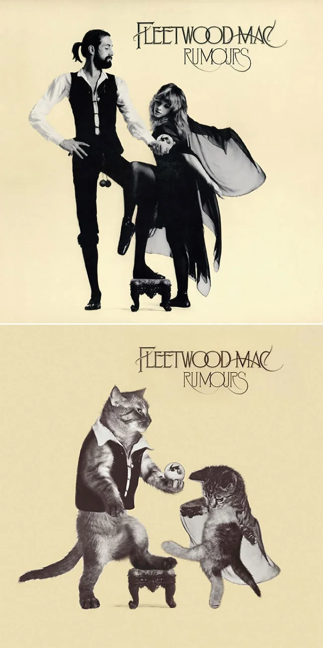 Художник рисует на обложках знаменитых альбомов котиков и это очень мурмур - фото 356243