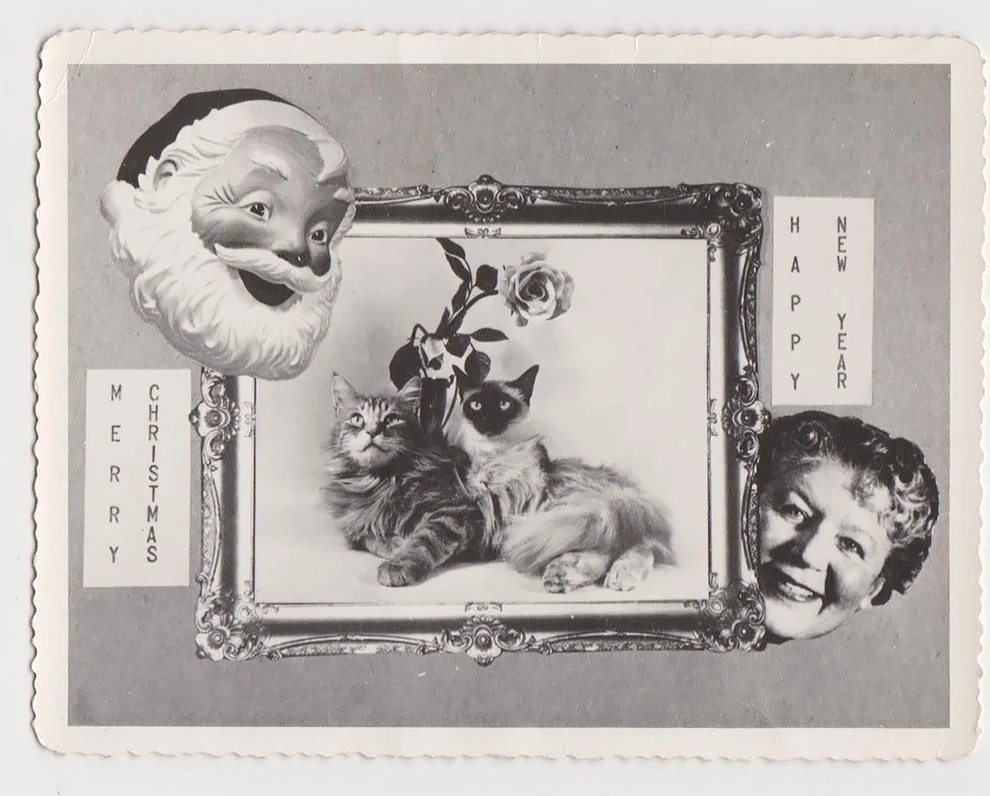 Эти рождественские ретро-открытки с домашними животными рассмешат вас до слез - фото 358649