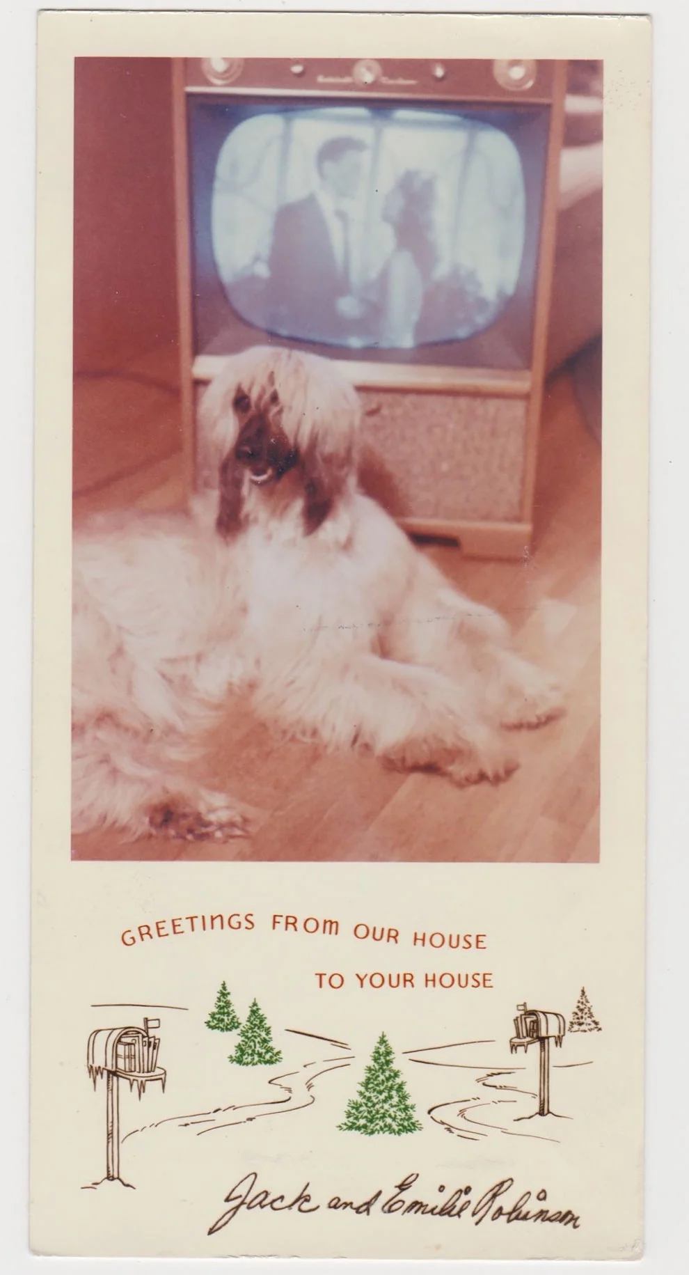 Ці різдвяні ретро-листівки з домашніми тваринами розсмішать вас до сліз - фото 358656