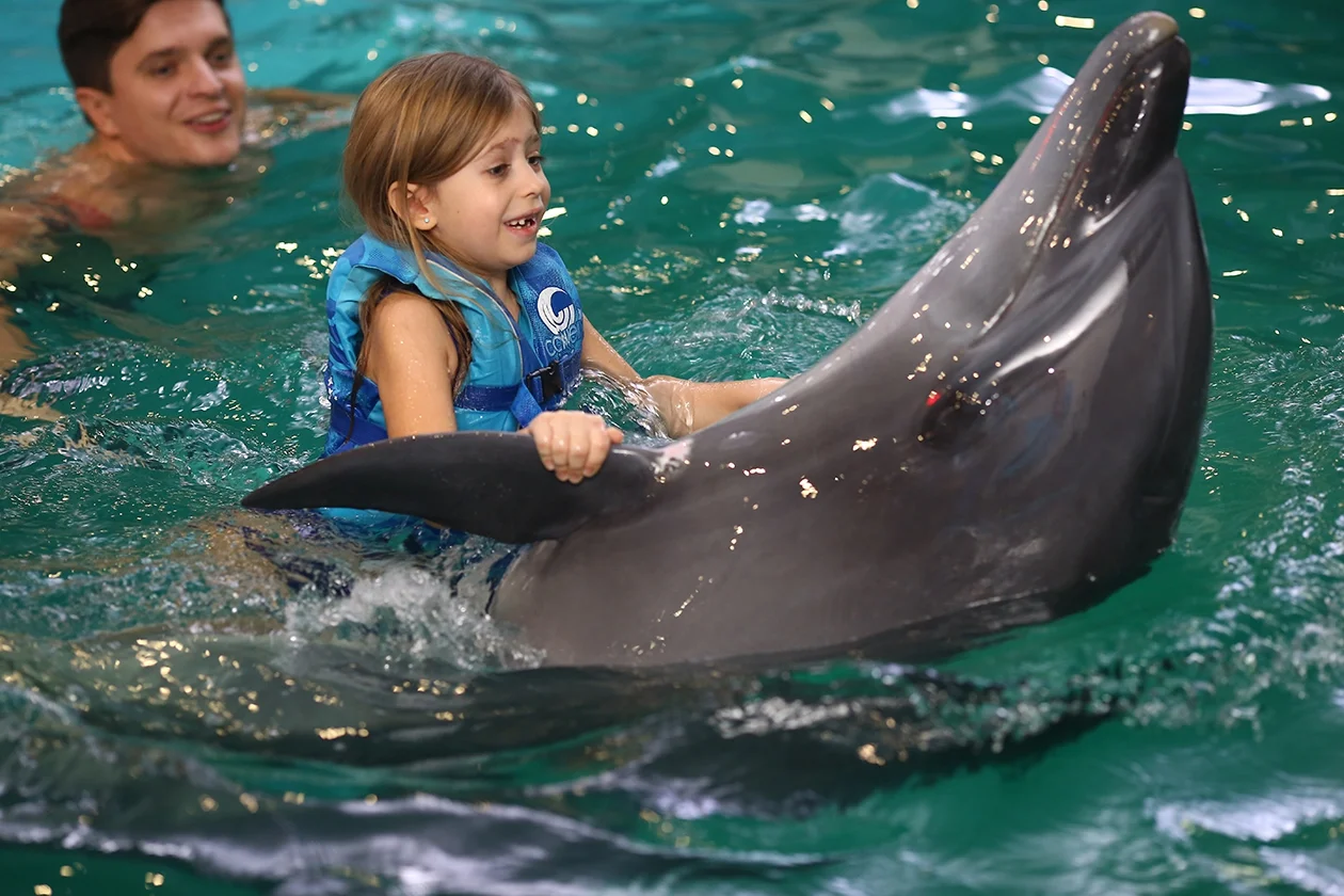 Анатолій Анатоліч показав мімішні фото з дельфінами і донькою - фото 354821