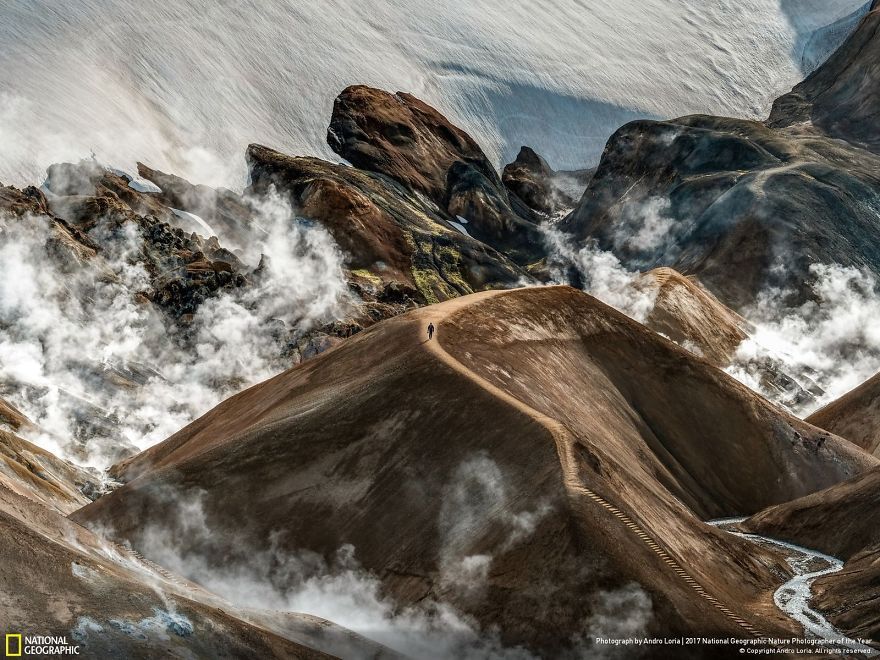 Мурашки по шкірі: National Geographic визначив найкращих фотографів природи 2017 - фото 357697