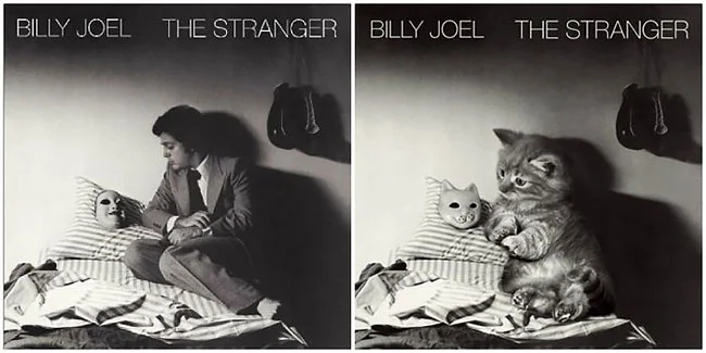 Художник рисует на обложках знаменитых альбомов котиков и это очень мурмур - фото 356222