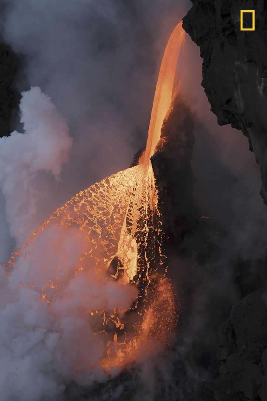 Мурашки по шкірі: National Geographic визначив найкращих фотографів природи 2017 - фото 357677