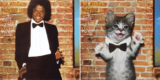 Художник рисует на обложках знаменитых альбомов котиков и это очень мурмур - фото 356242